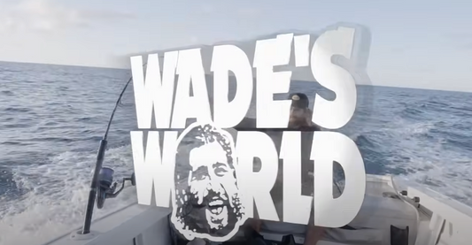WADE'S WORLD = SURFANDO NO DESERTO